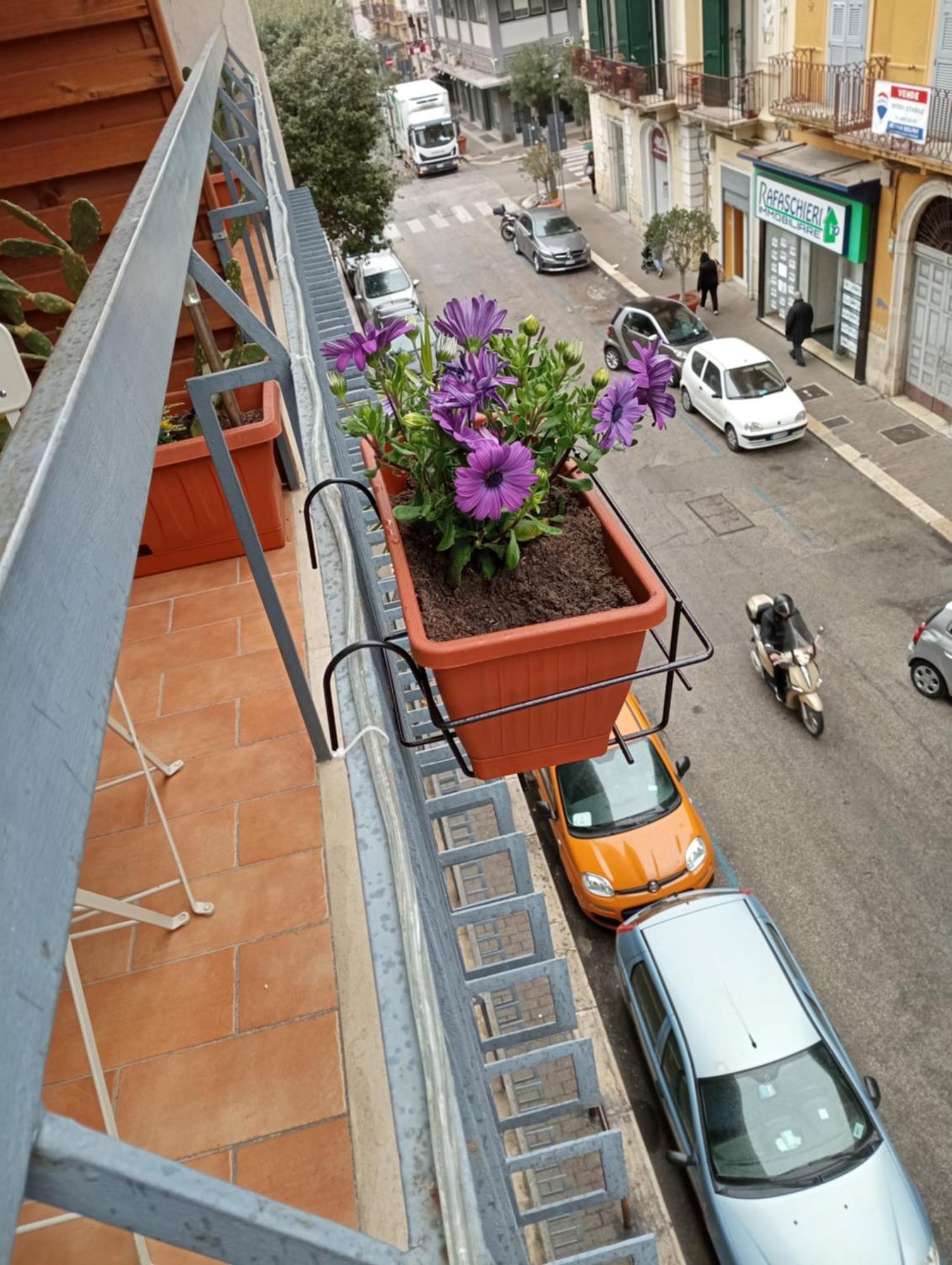 Kaktus B&B Bari Exterior foto