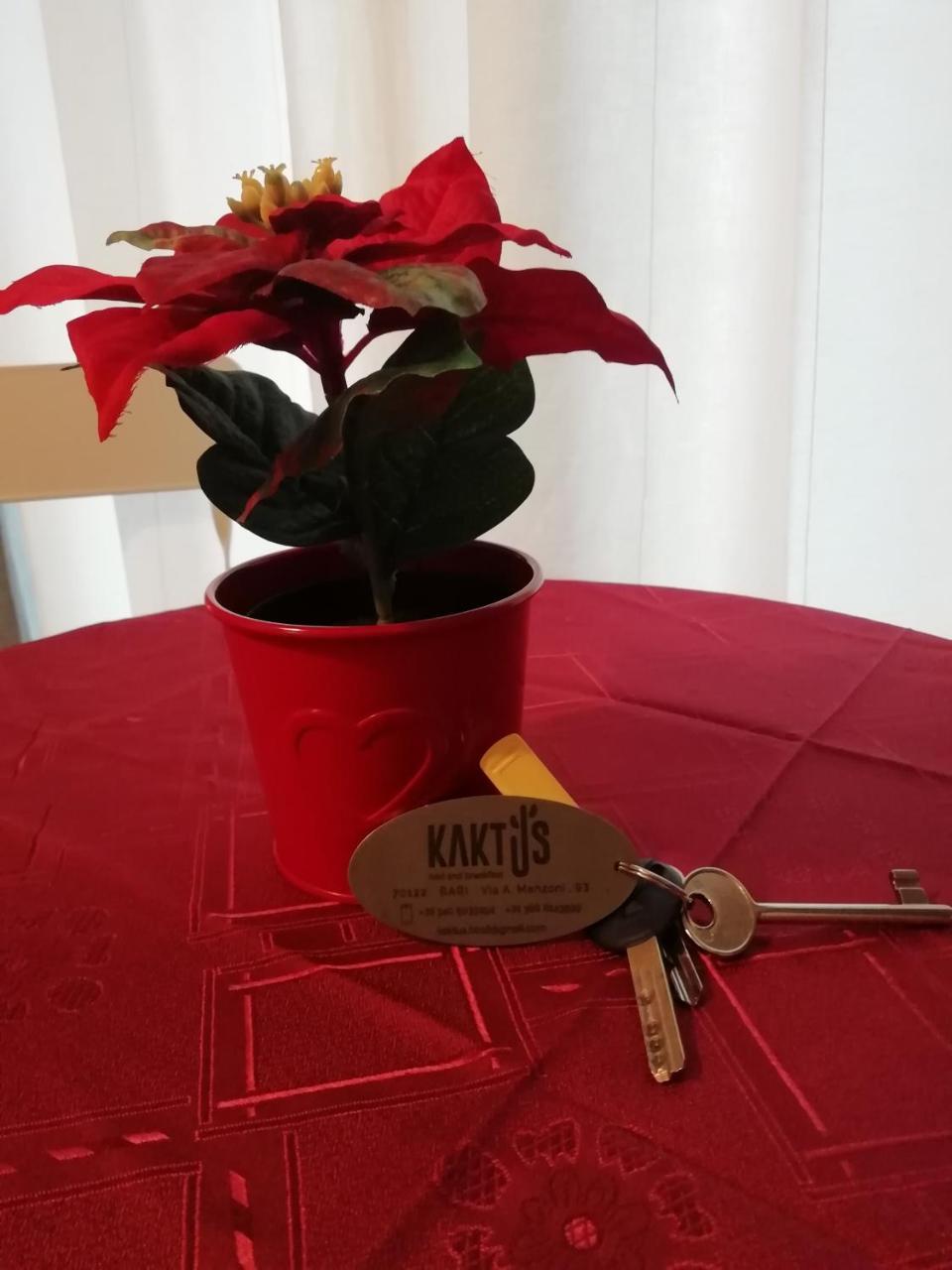 Kaktus B&B Bari Exterior foto